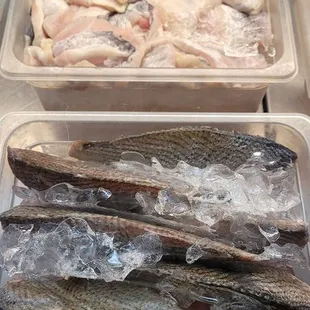 a variety of fish