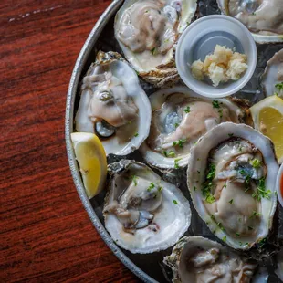 Gulf Oysters