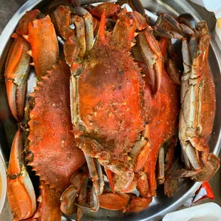 Blue Crab