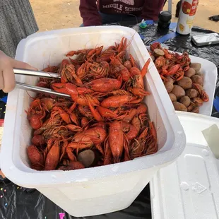 a person holding a container of crawfish