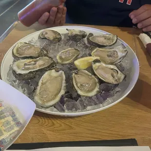 Oysters on the half shell