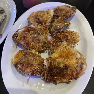 Oysters Mudbug