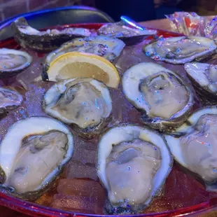 Raw Oysters