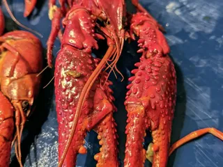 LTK Seafood