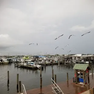 Marine view from the patio
