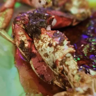 Dungeness crab with their special seasoning.