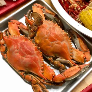 Blue Crab