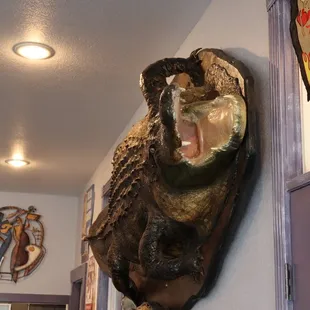 Decor