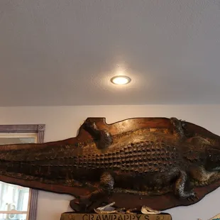 Decor