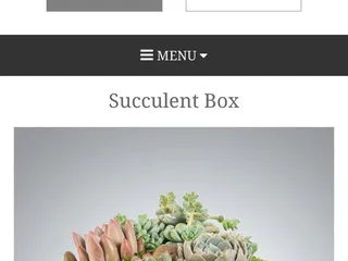 Bayside Just Because