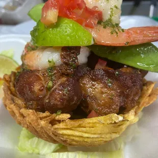 Araña rellena Mar y tierra