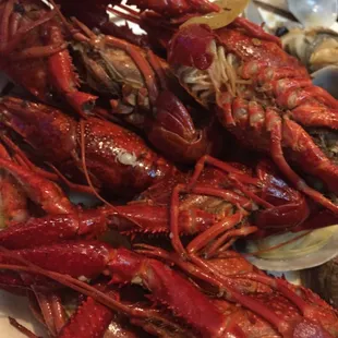 Crawfish