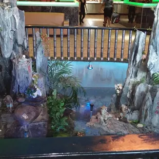 Great buffet! Nice sushi roll selection!