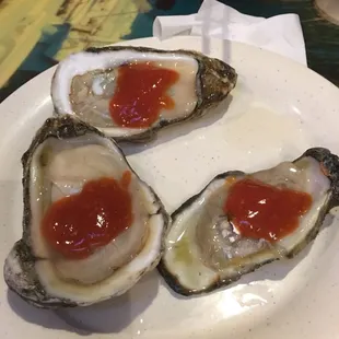Raw Oysters