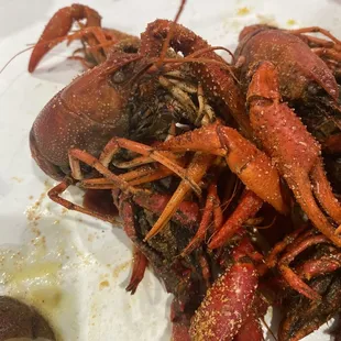 Crawfish were a pretty good size.