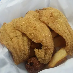 Catfish fillet
