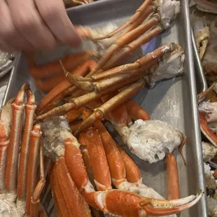 sashimi, sushi, sushi and sashimi, food