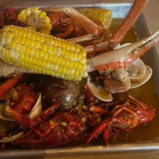 M1. Crawfish