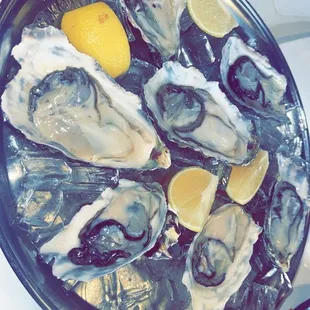 Oysters
