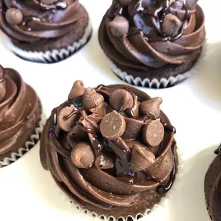 Crazy Cupcakes