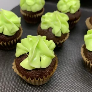 Chocolate Mint Mini Cupcakes