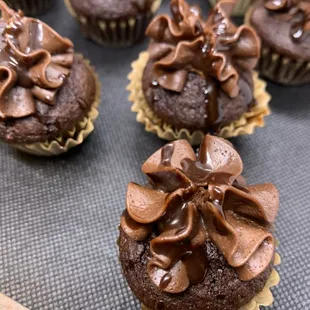 Chocolate Mini Cupcakes
