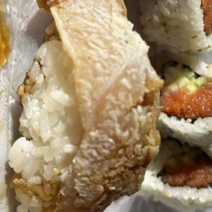 Crazy Fish Albacore Sushi