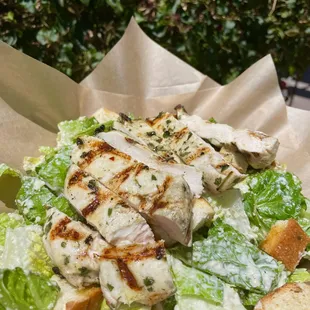 Grilled Chicken Cesar Salad