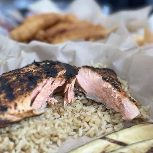 Wild Caught Alaskan Salmon
