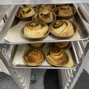 Cinnamon rolls right before cream cheese frosting!
