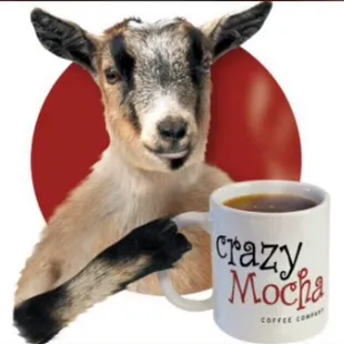 a goat holding a coffee mug