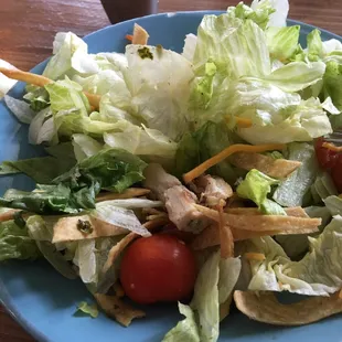 I had the SW Salad. Not impressed. Big chunks of lettuce. Maybe 4- 5 SMALL pieces of chicken. Price was $ 9.50... Not worth it at all.