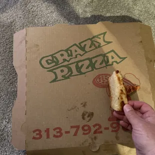 a hand holding a piece of pizza