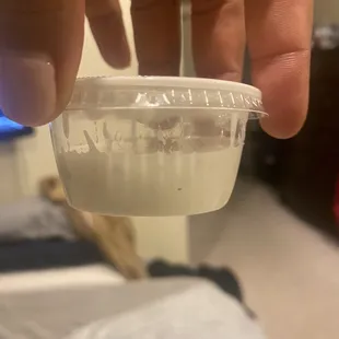 a person's hand holding a plastic cup