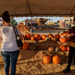 We found our pumpkins almost instantly after enjoying the rides and food! Definitely a hidden gem