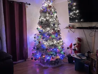 Lamb's Christmas Trees