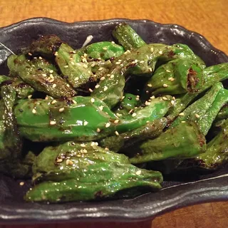 Shishito Pepper
