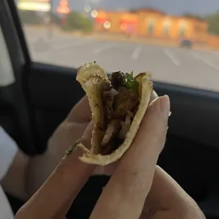 a hand holding a taco
