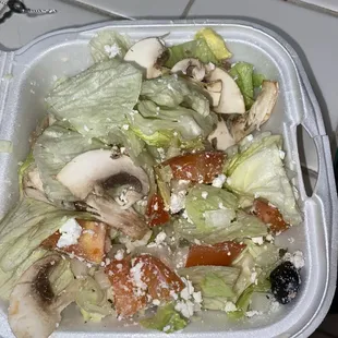 And this is what was left after I removed the hard white/brown chunks of "iceberg" lettuce from my Side Mediterranean Salad