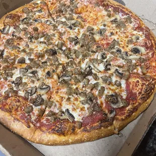 Sausage mushroom pizza