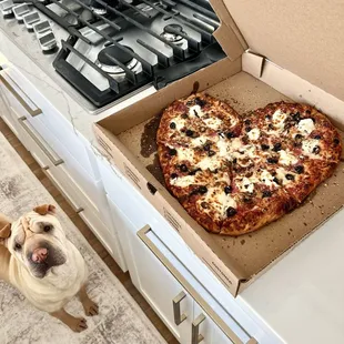 Pup and pizza