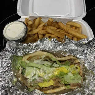 Gyro and fries