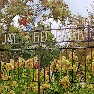 Local park directly in front of building