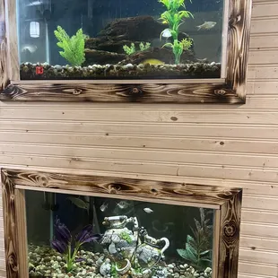 a fish tank
