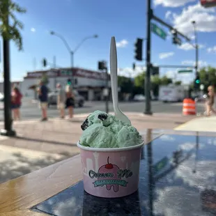 Chocolate chip mint ice cream