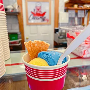 Blue Moon &amp; Citrus City ice cream