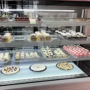 Mini cheesecakes and cupcakes