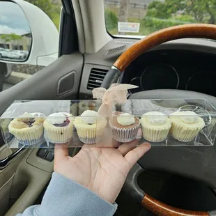 6 count of mini cheesecakes for $20. Two regular, one chocolate, one oreo, one strawberry oreo, and one cookie dough flavored.