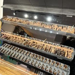 Noah's Ark cross section