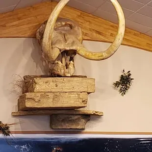 Of course Mastodons roamed the Texas Plains!